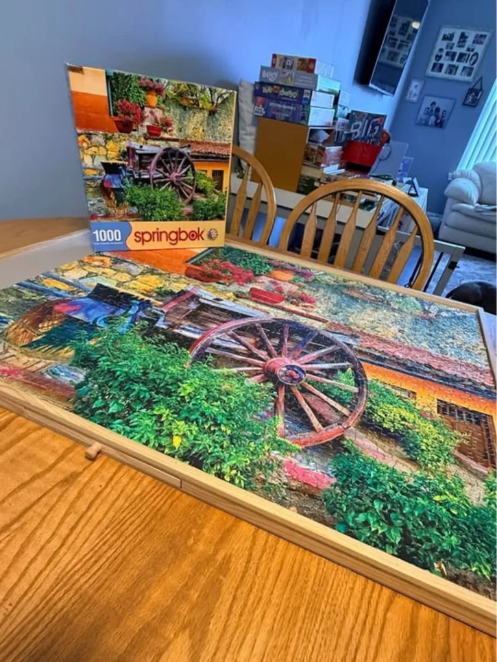 Springbok country courtyard 1000 piece puzzle - Picture 1 of 2